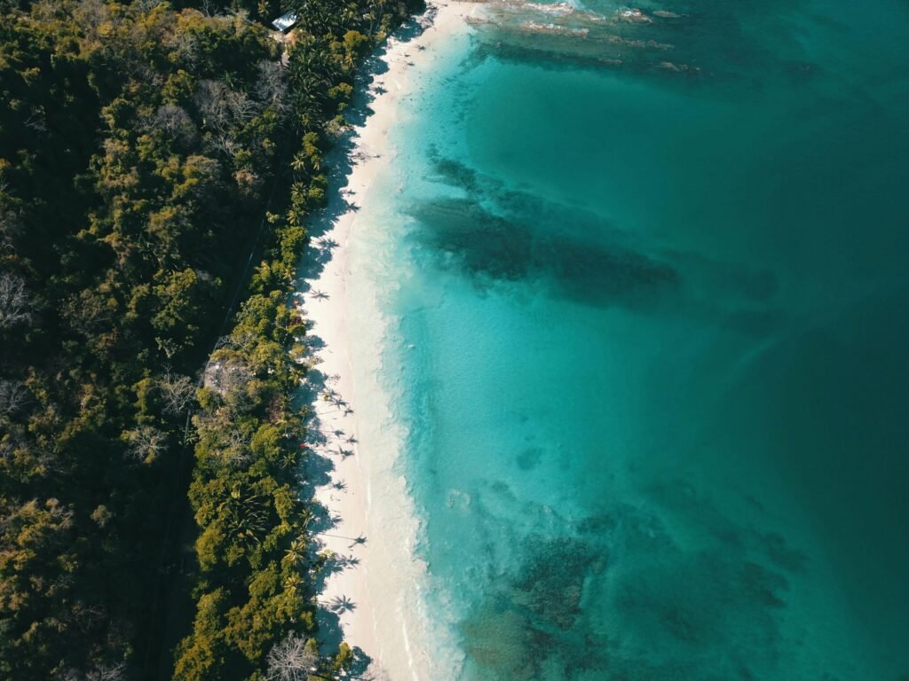 Aerial view of a white-sand beach and tropical forest in Costa Rica